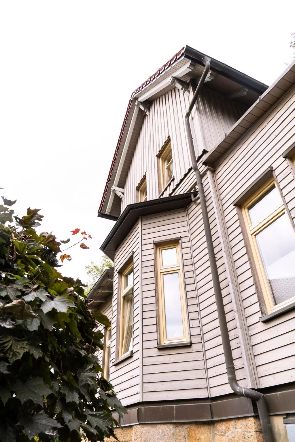 Villa Waldidyll-Draußen