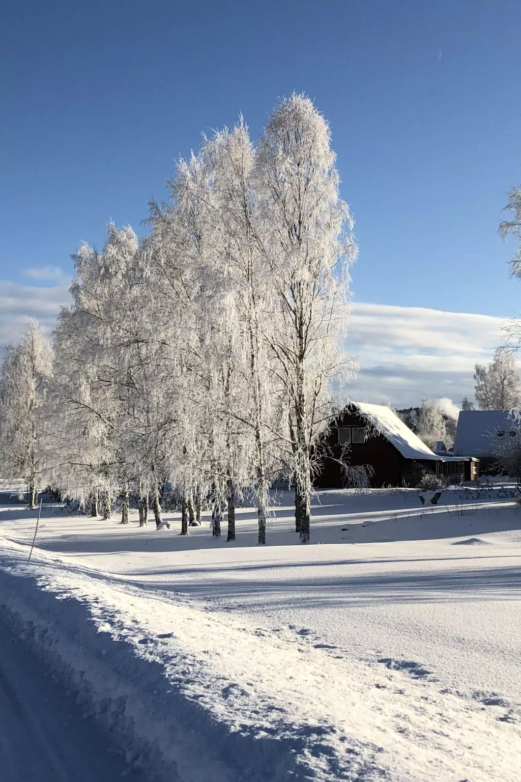 Schöne große "Villa Stolle" 9 Personen 2 Bäder-Image-tags.info