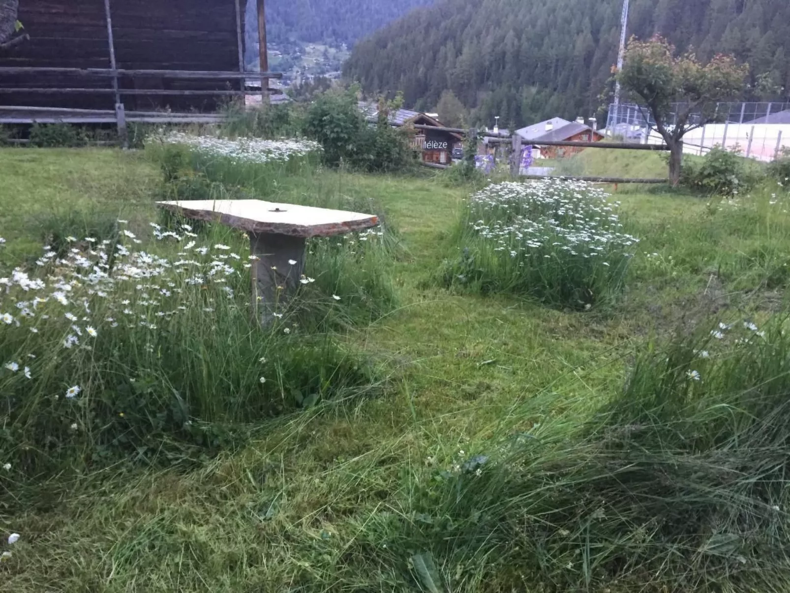 Chalet familial-Image-tags.info