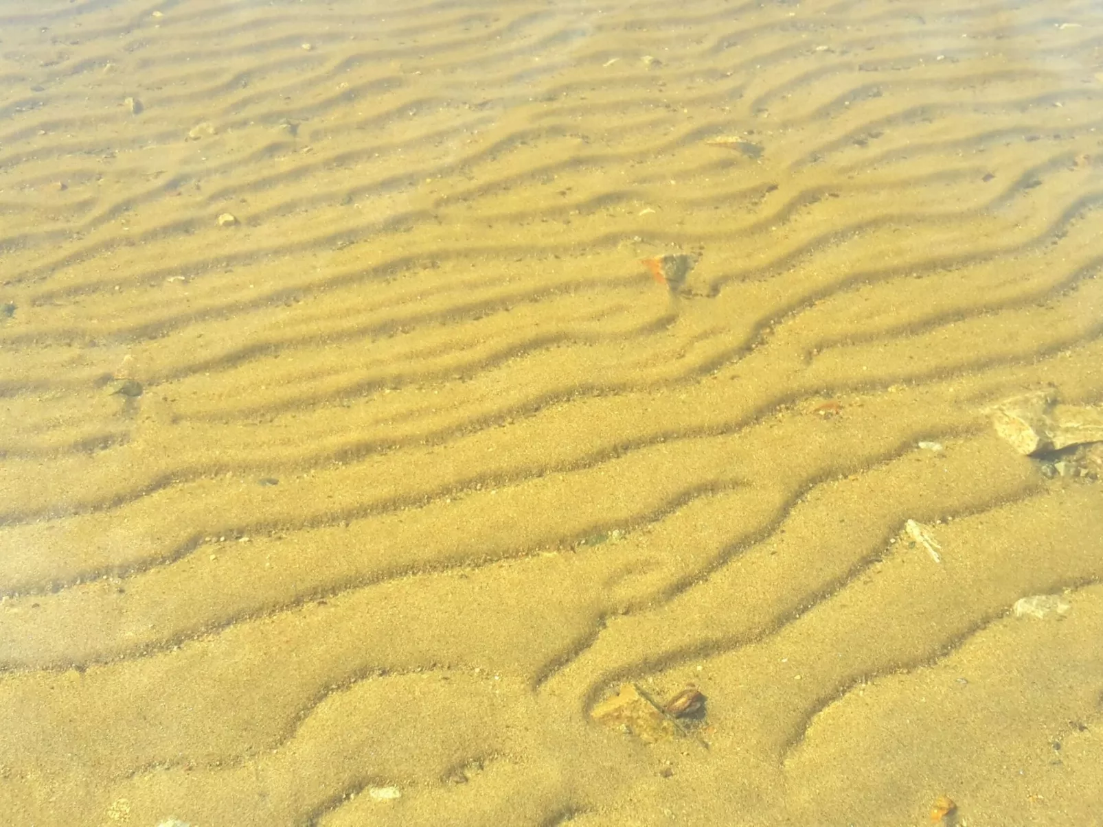 Haus Laura, Frymburk-Outside