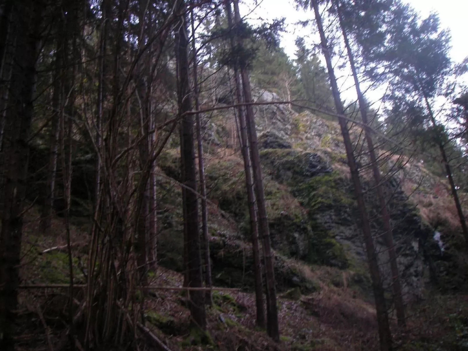 Haus "Hermann"-Outside