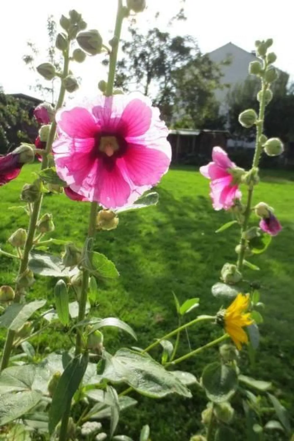 Reitz-Image-tags.info