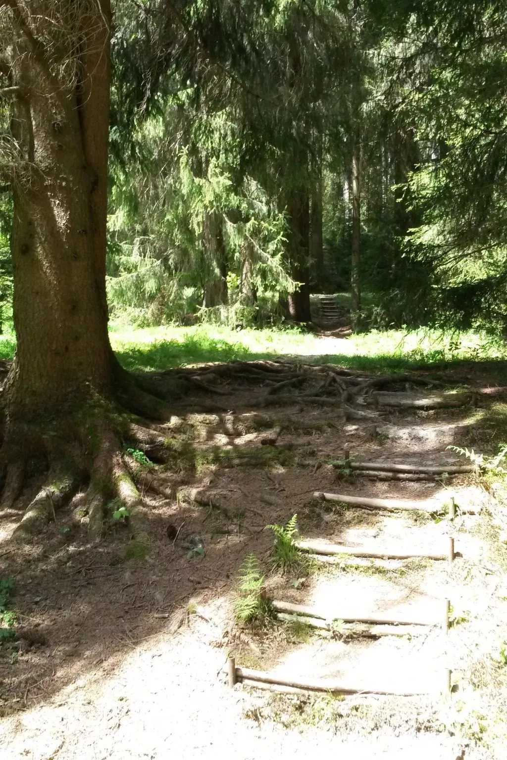 Für 6 Personen im Thüringer Wald-Draußen