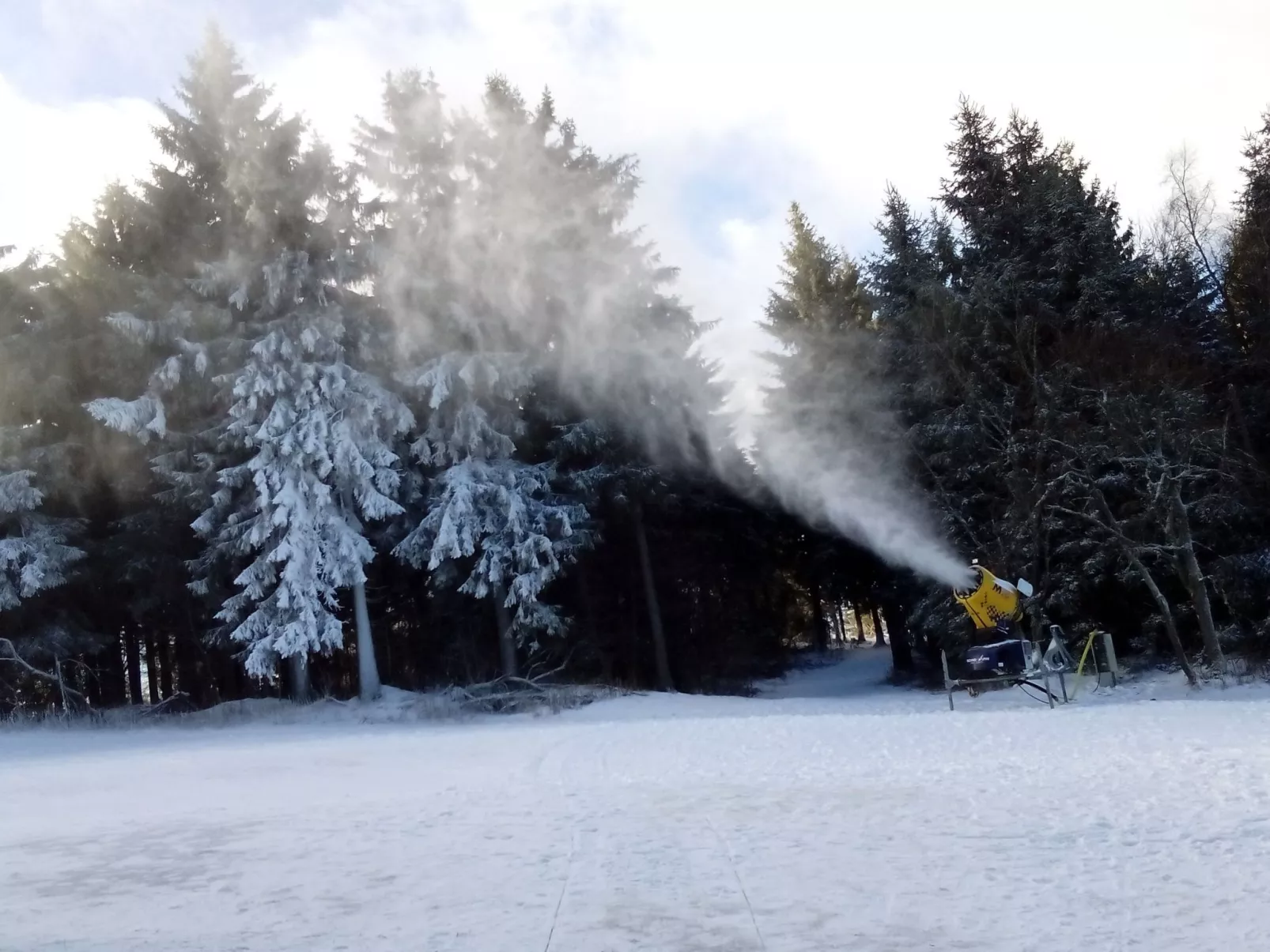 Cat'n'Boots Haus-Draußen