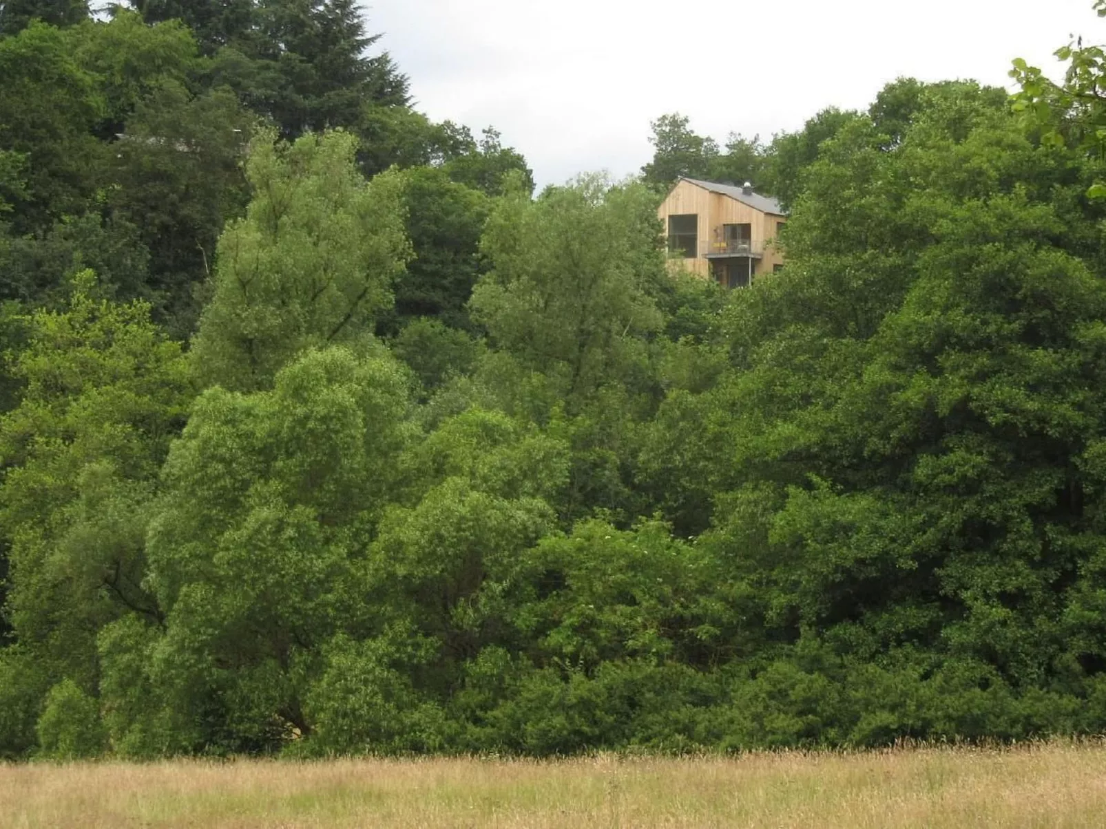 Moderner Holzhausneubau in der Eifel-Image-tags.info