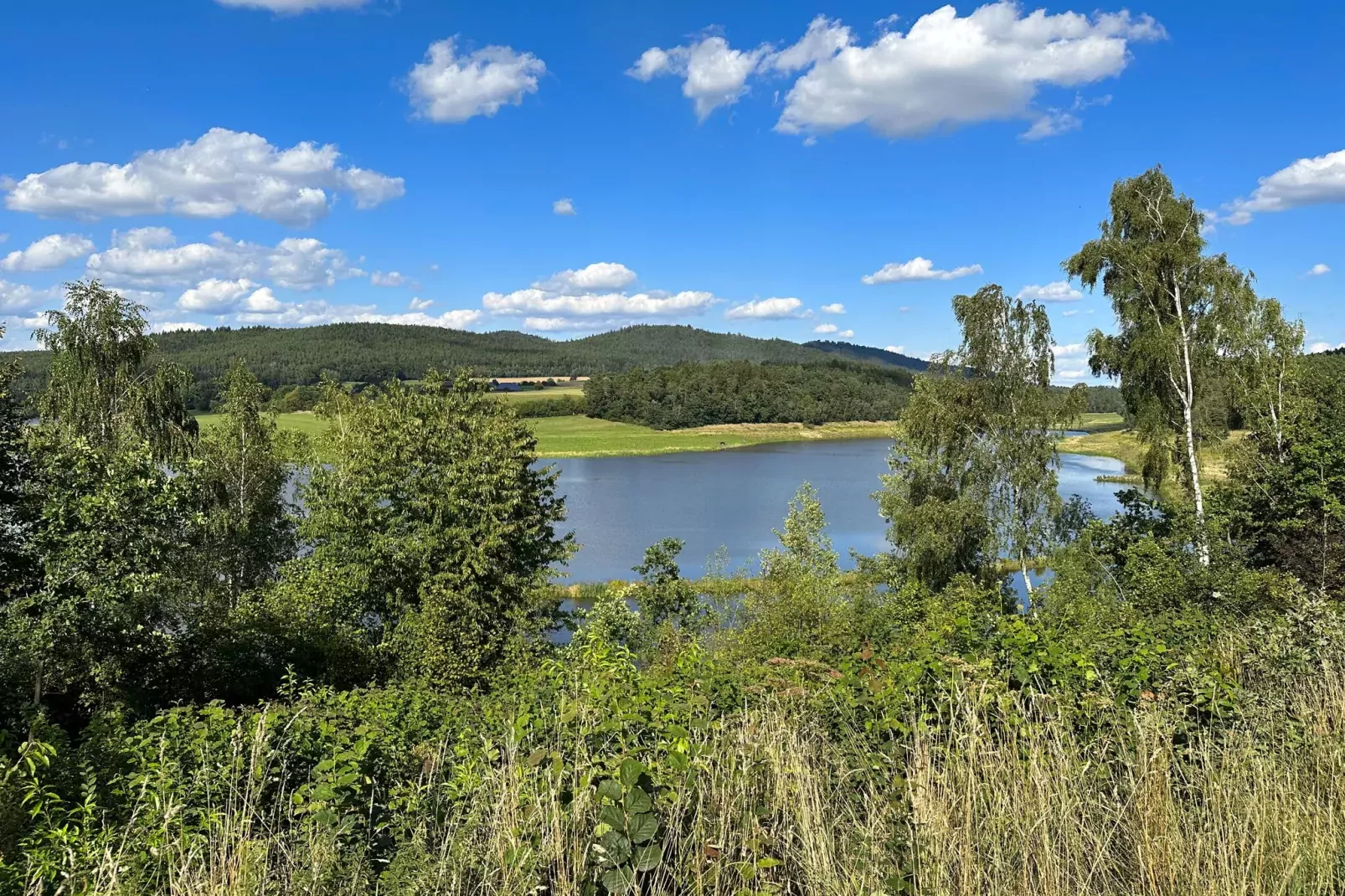 FERIENDORF SEEBLICK - Tiny Chalet am Eixendorfer See-Areas summer 1km