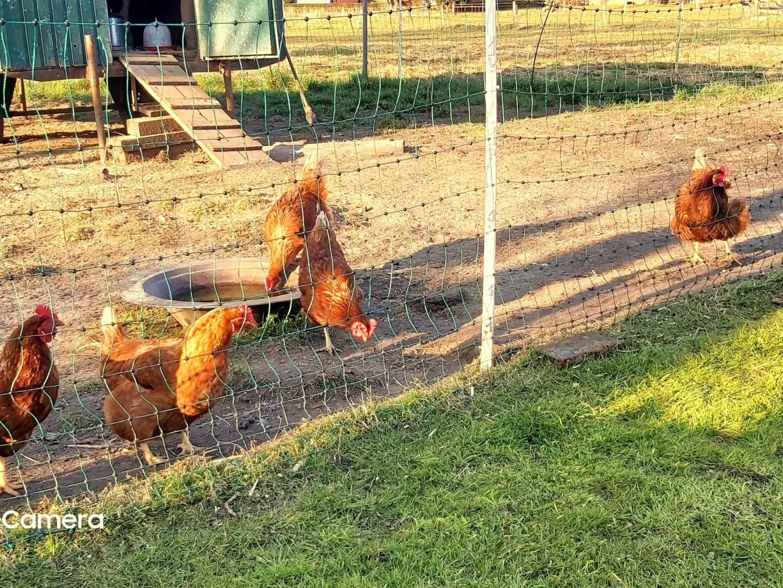 Över de Loh-Outside