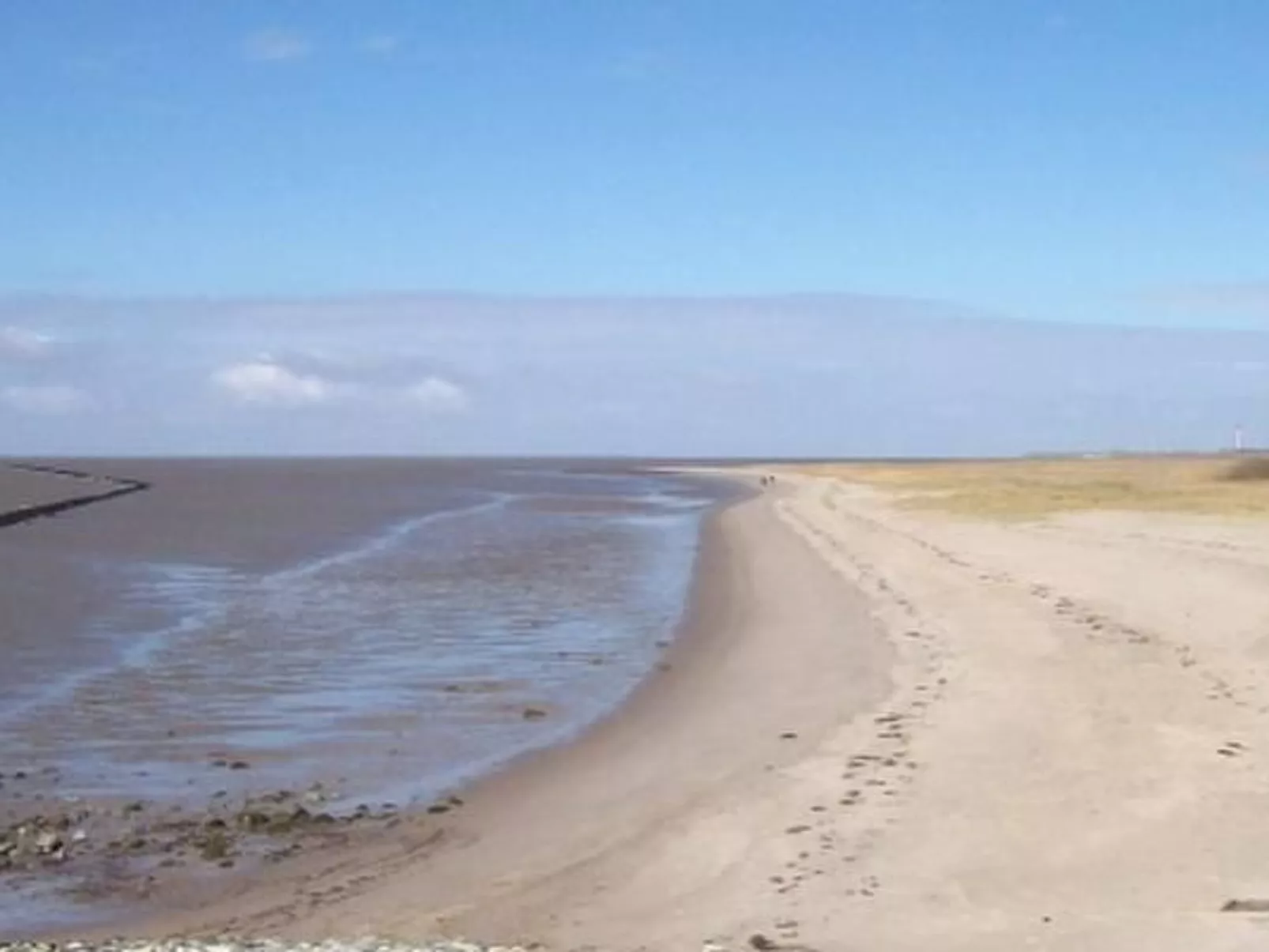 Seepferdchen-Outside