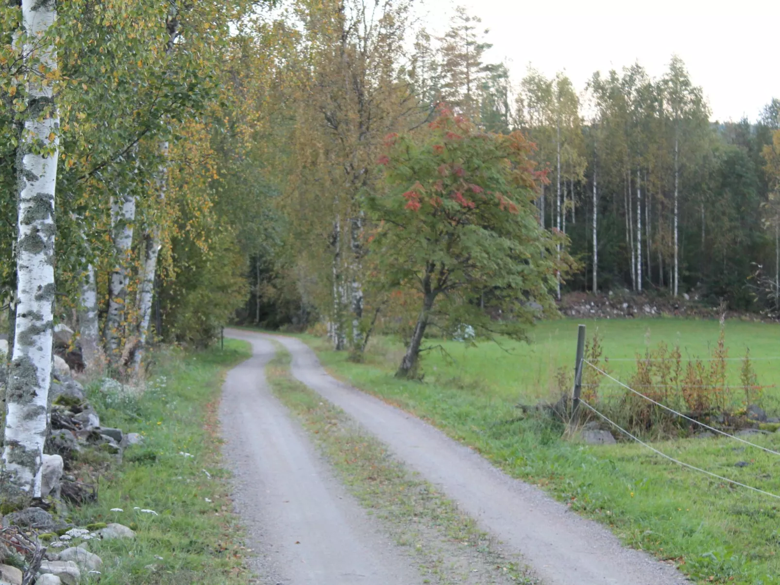 Anwesen mit eigenem Garten und Grill-Outside
