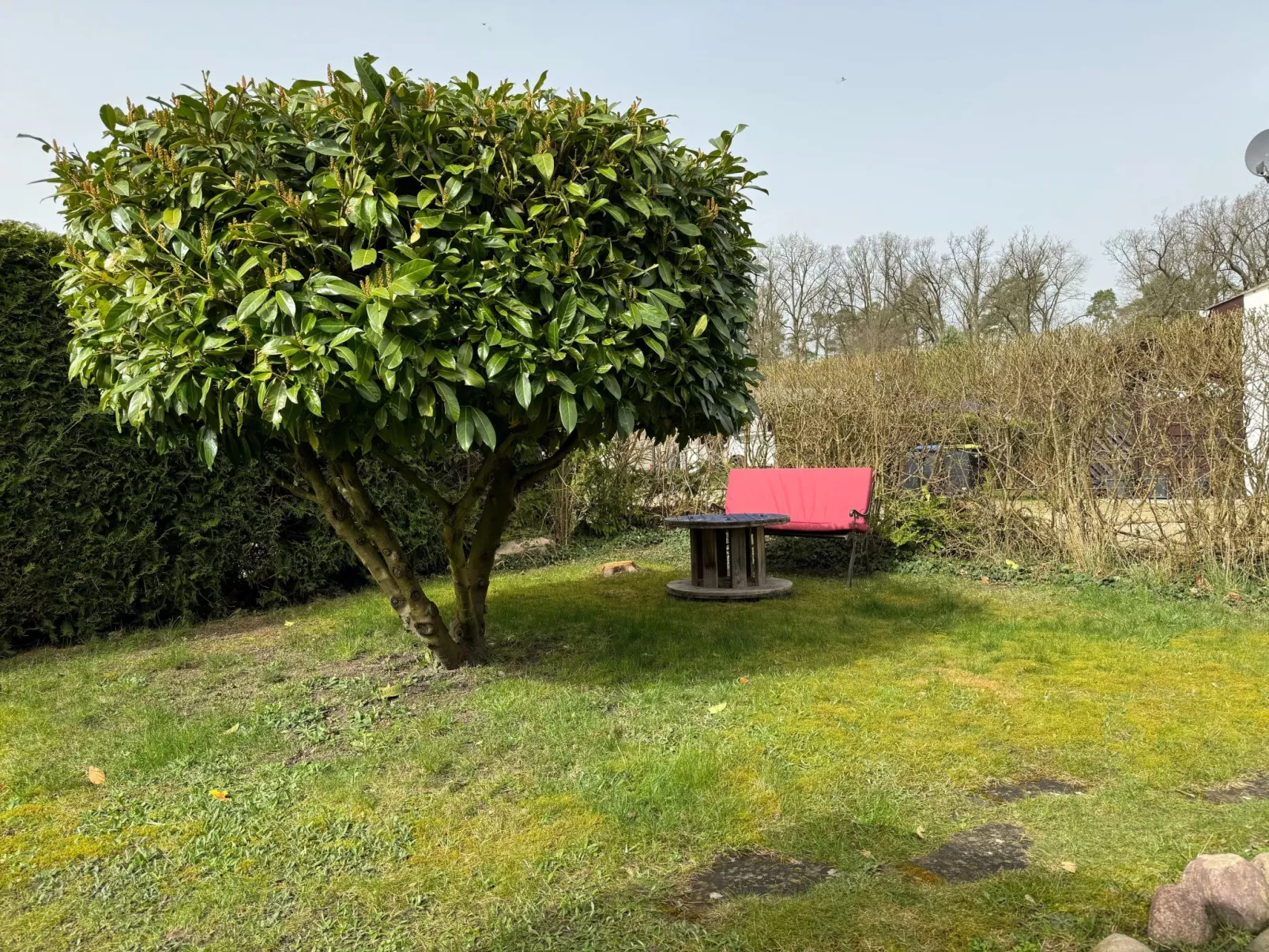 Hans am Klostersee-Draußen