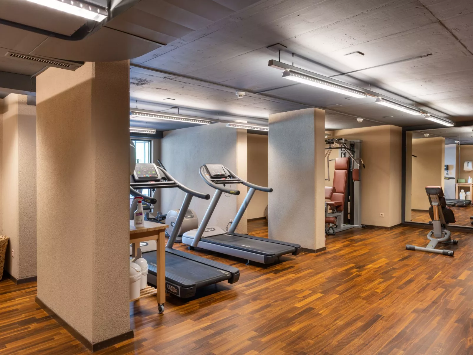 Wohnung Edelweiss direkt in 4 Sterne Hotel-Inside