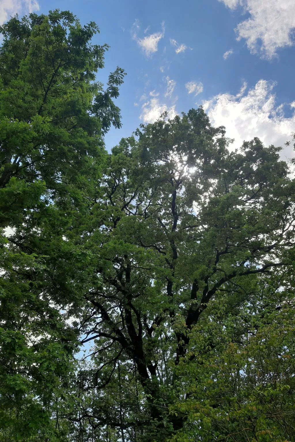 Romantische Villa mit weitläufigem Garten-Image-tags.info