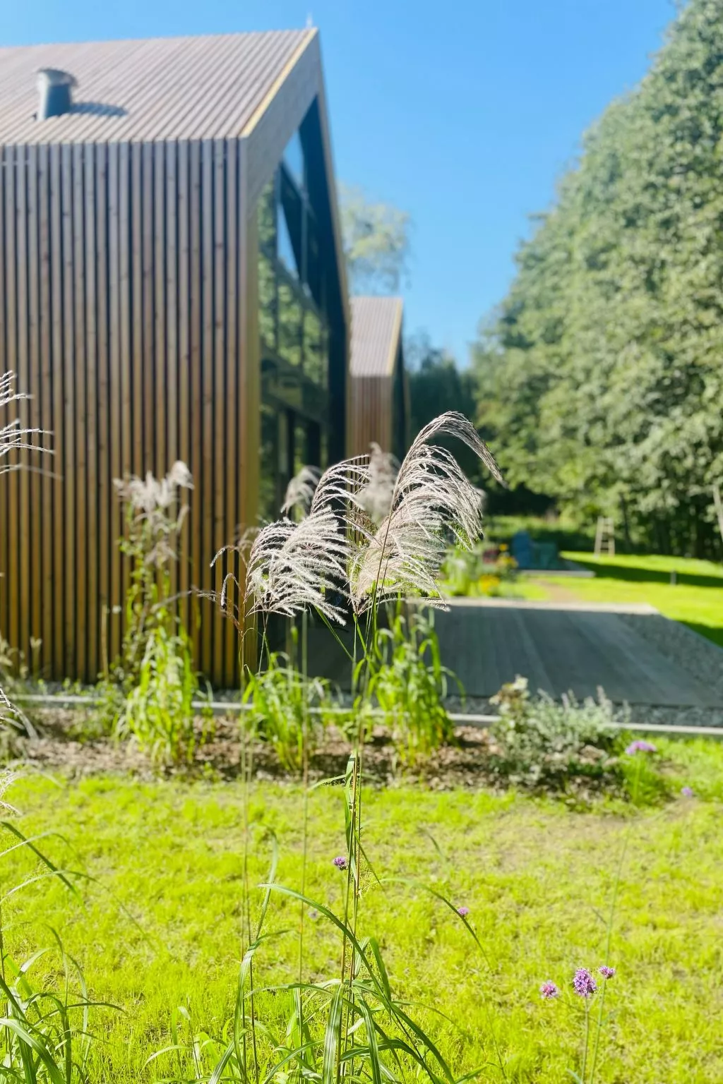 Sasino Park 22-Outside