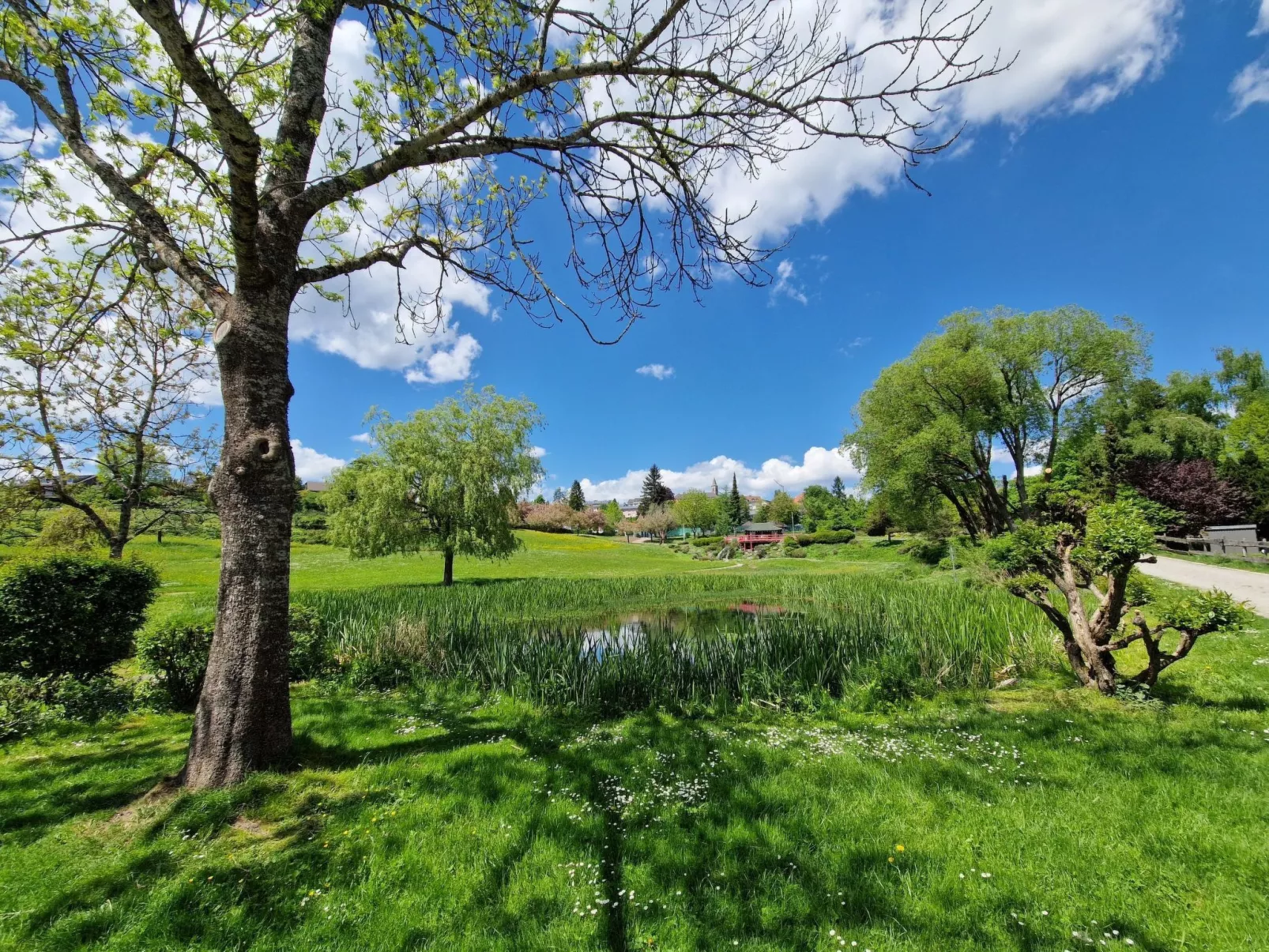 Lufs Loft für 6 Pers-Outside