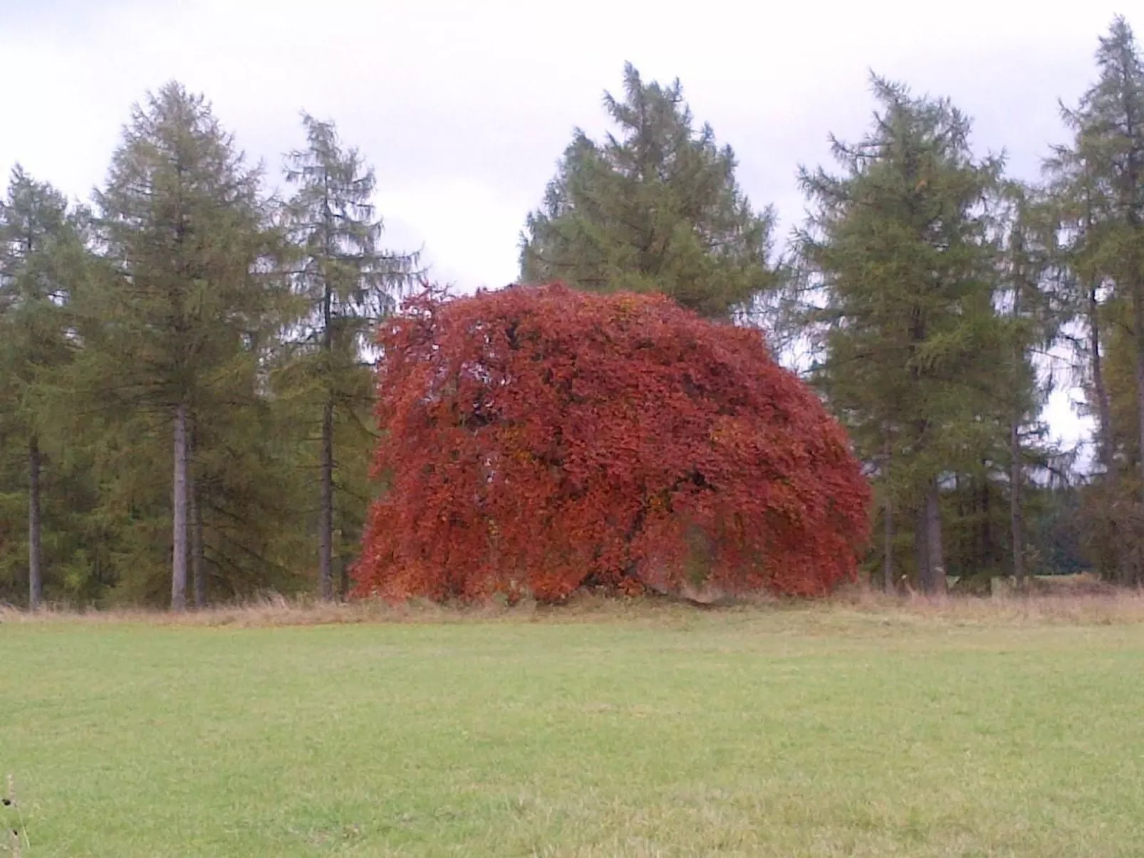 Little Stonehouse-Dehors