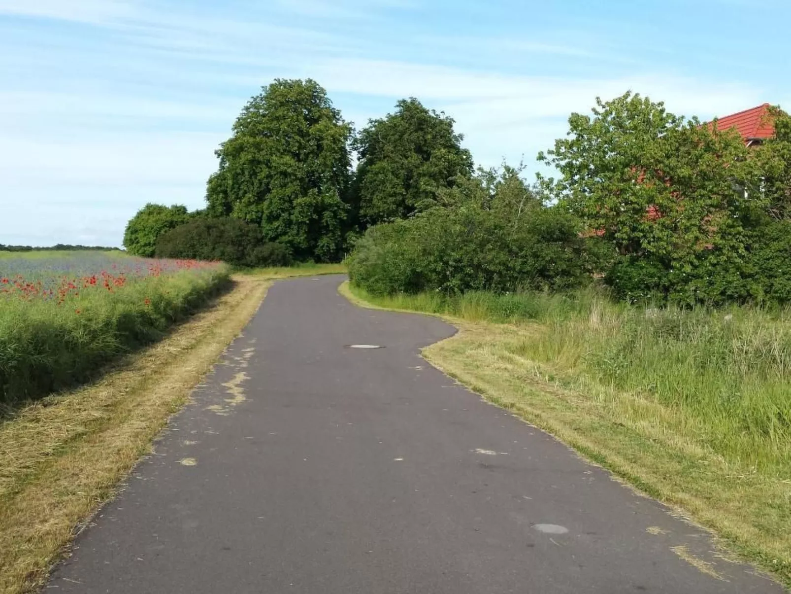 Schwalbennest-Outside