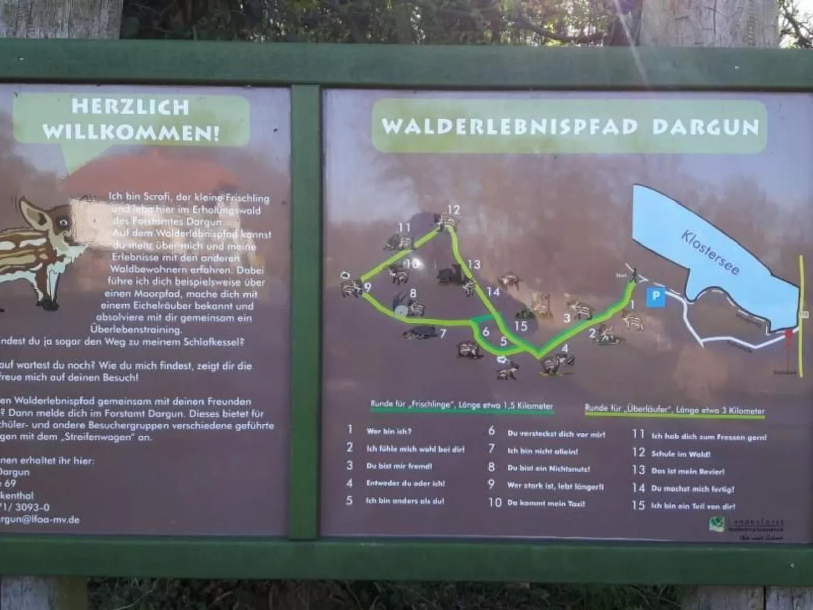 Ferienhaus Claire am Klostersee Urlaub mit Hund-Draußen