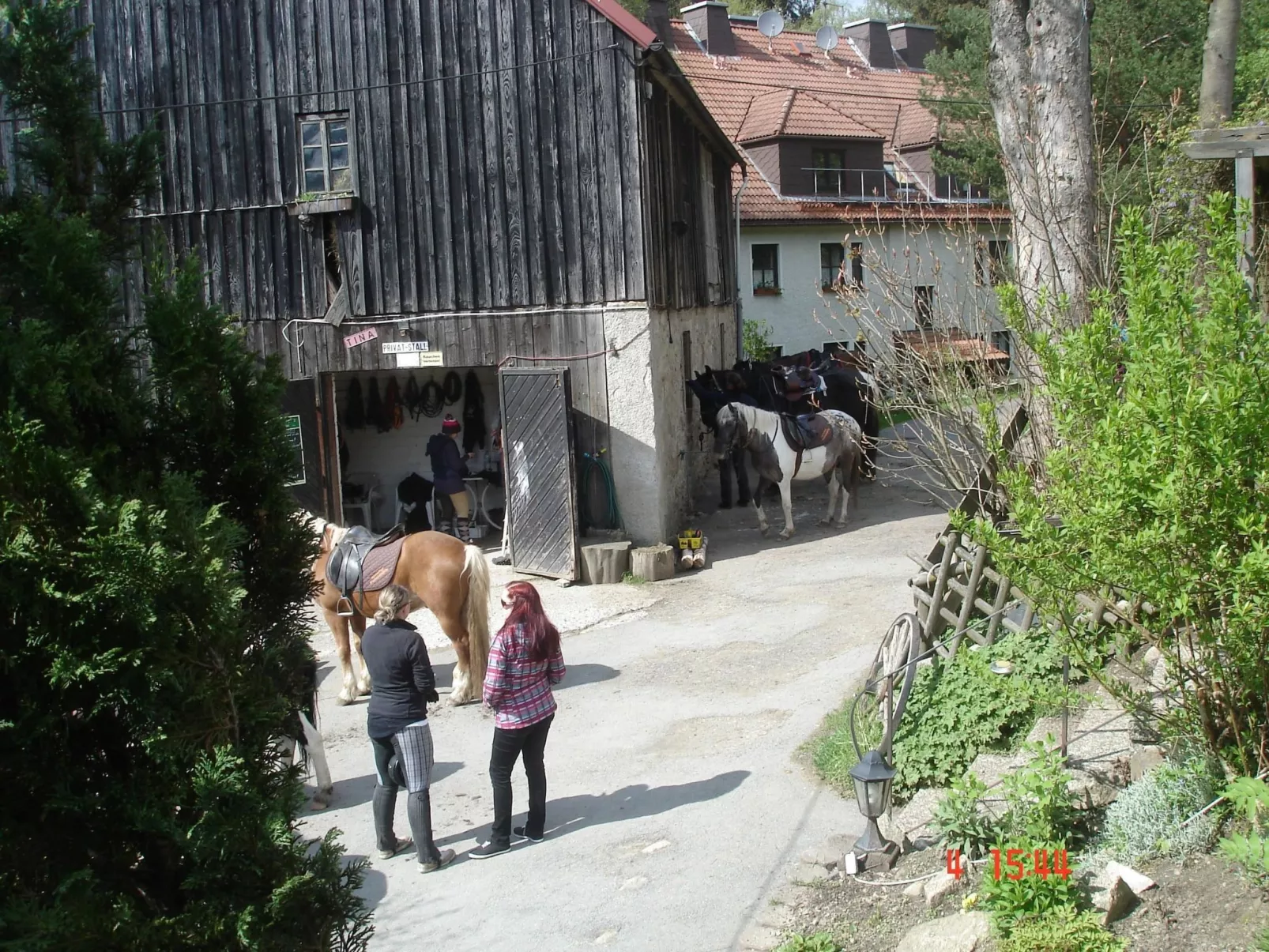 Auf einem Reiterhof-Draußen