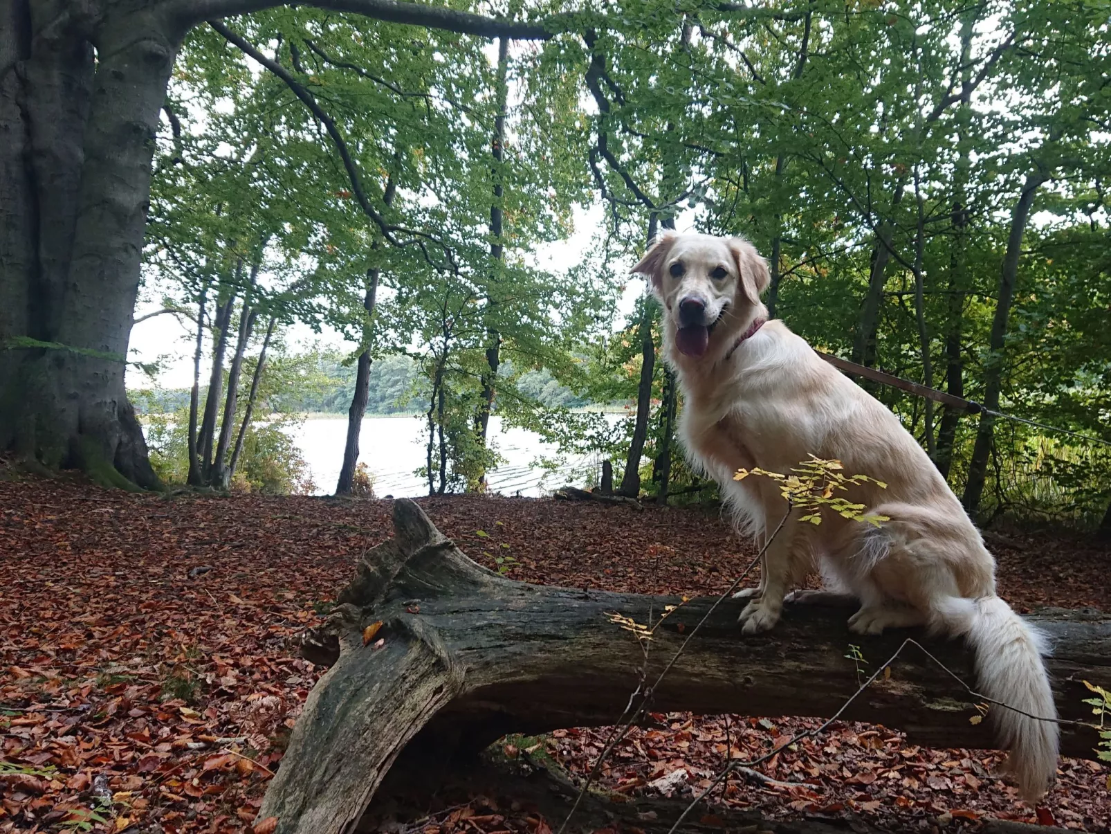 Schaalsee - Auszeit-Outside