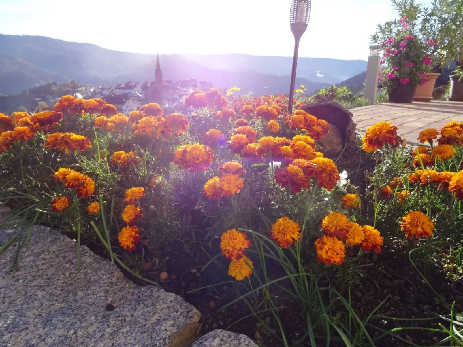 Am Keschtewaeldele - Outside