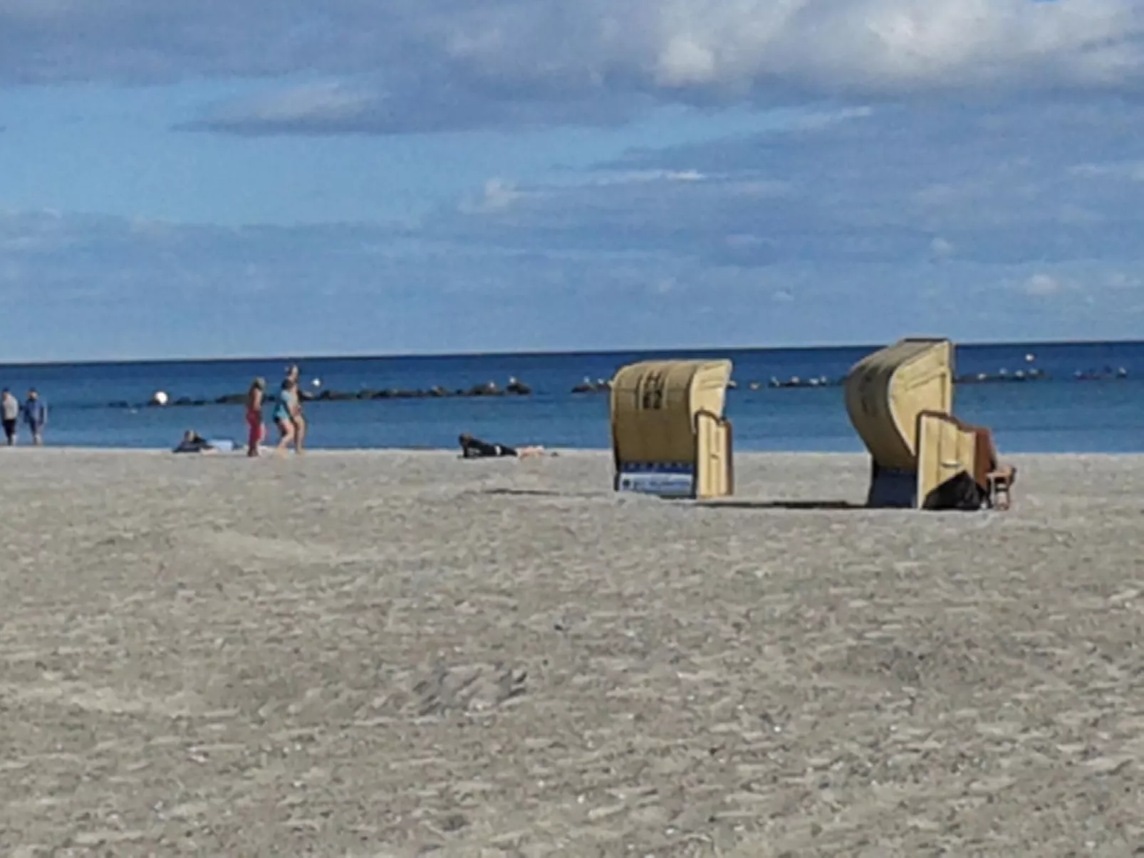 Silbermöwe-Draußen