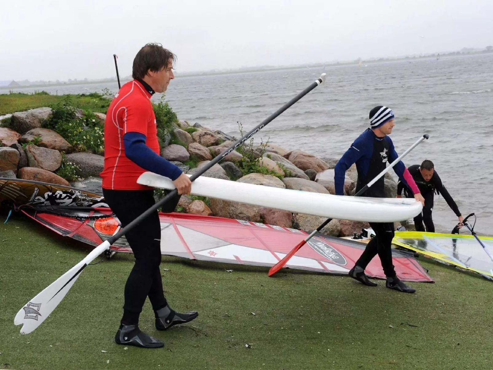 Heringsmöwe in Neue Tiefe-Draußen