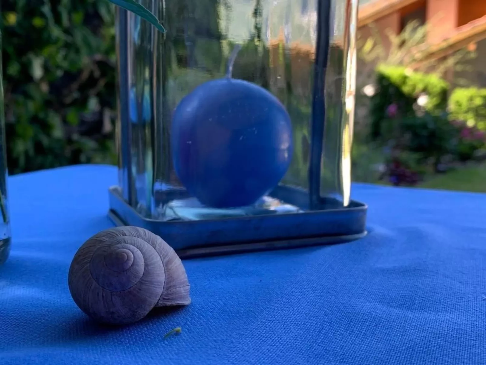 Sonnig und gemütlich-Dehors