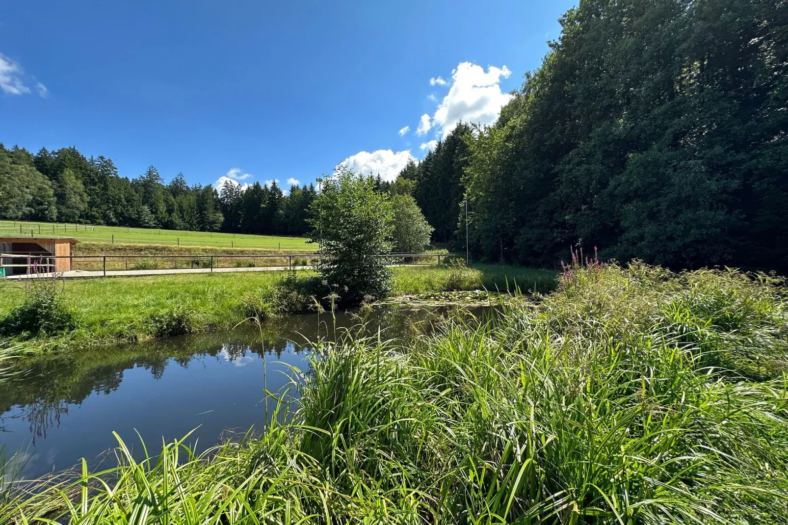 Kleinenzenried-Gardens summer