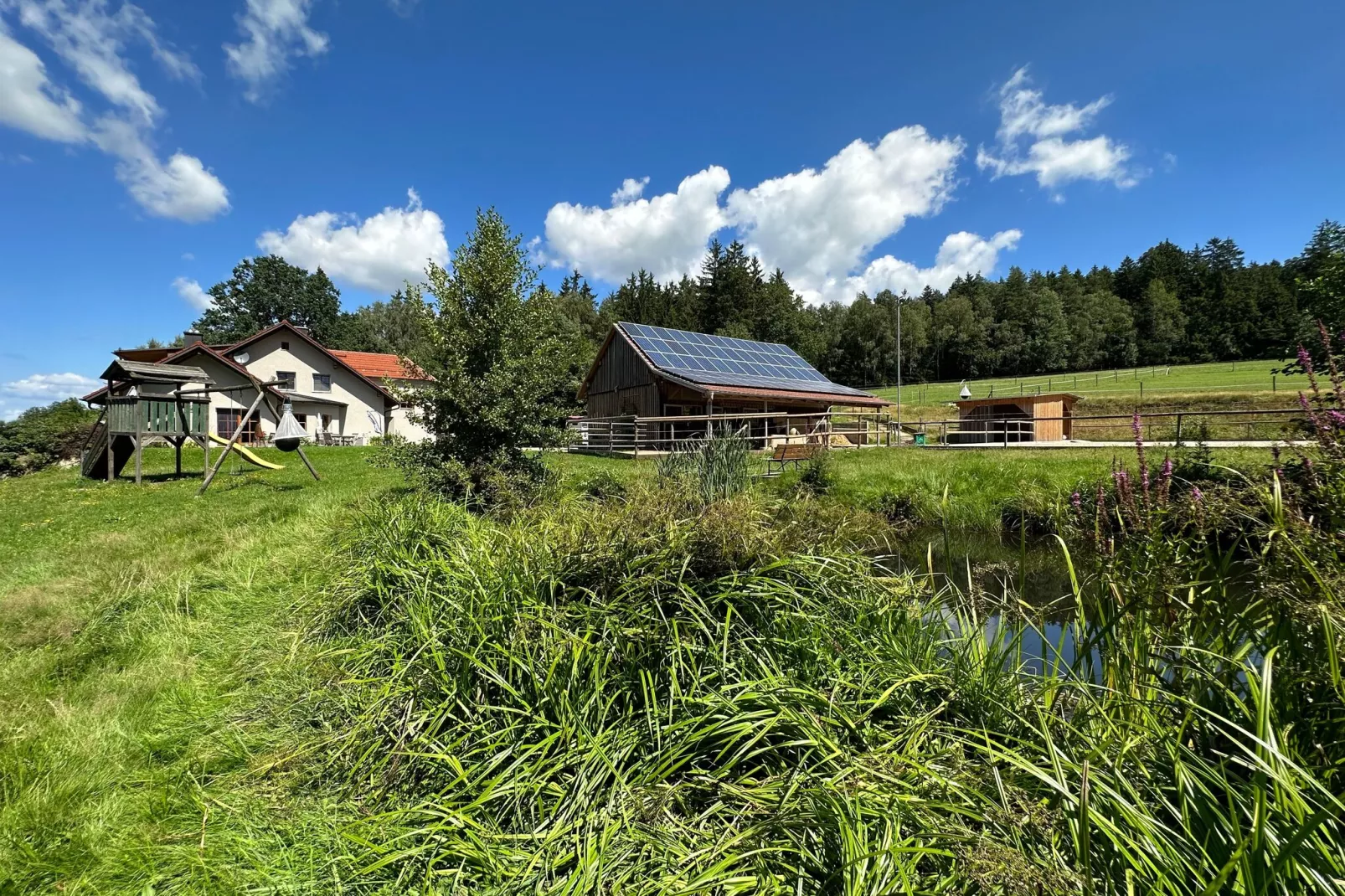 Kleinenzenried-Gardens summer