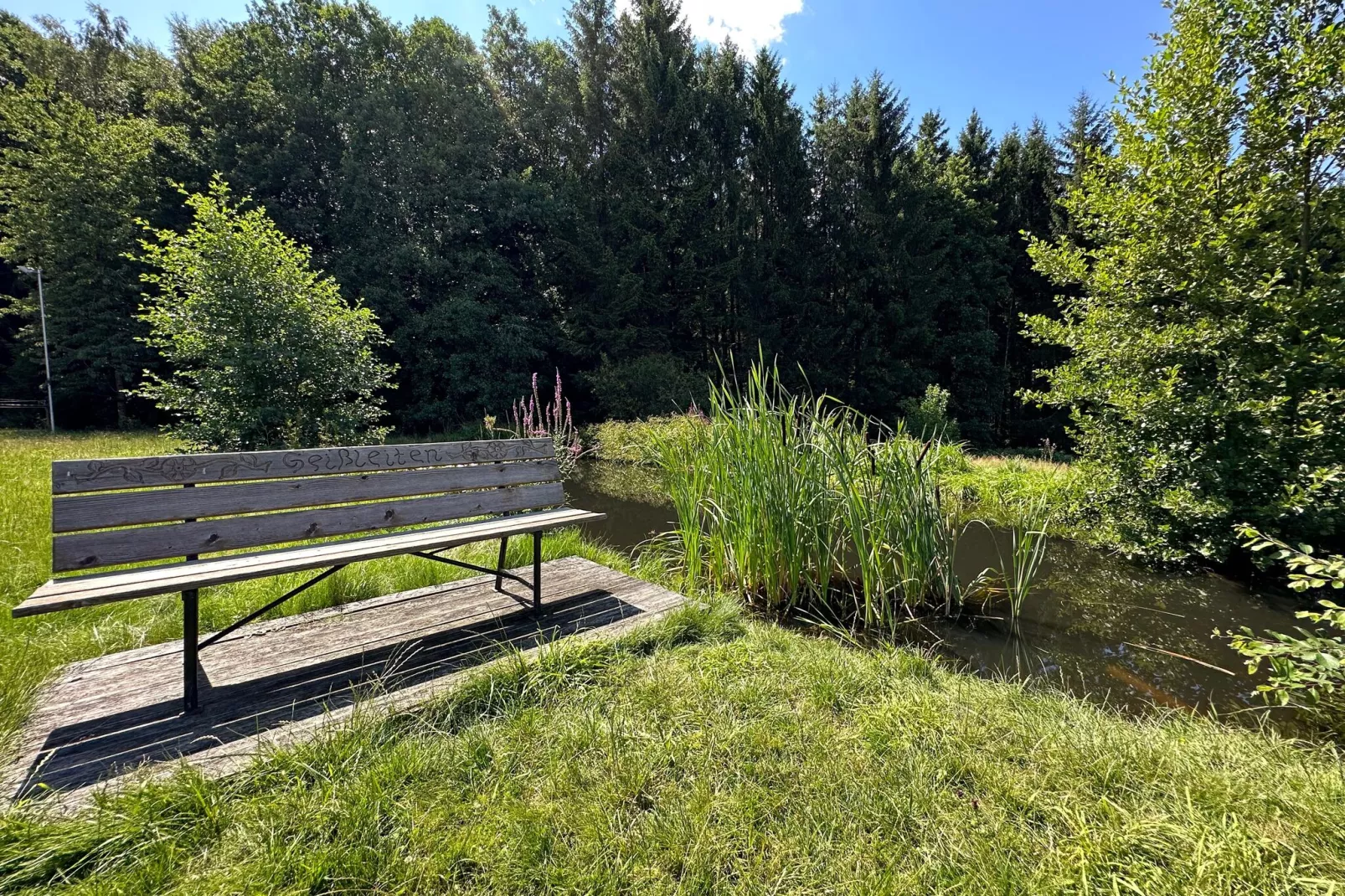 Kleinenzenried-Gardens summer