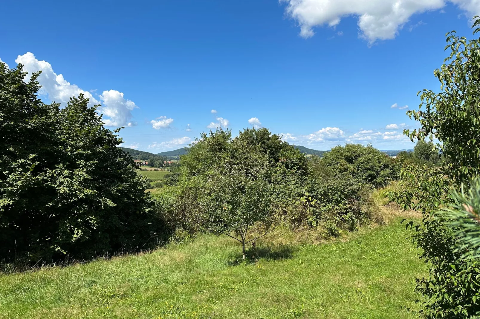 Kleinenzenried-View summer
