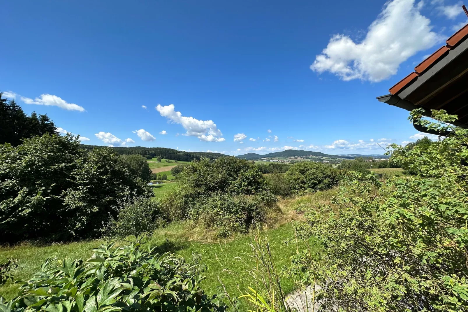Kleinenzenried-View summer