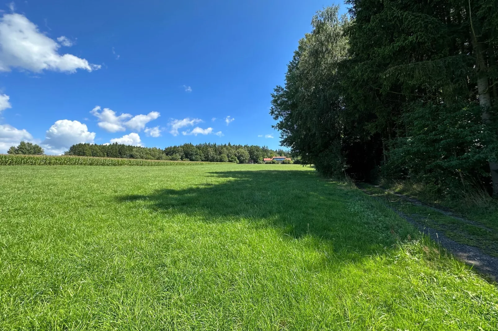 Kleinenzenried-Areas summer 1km