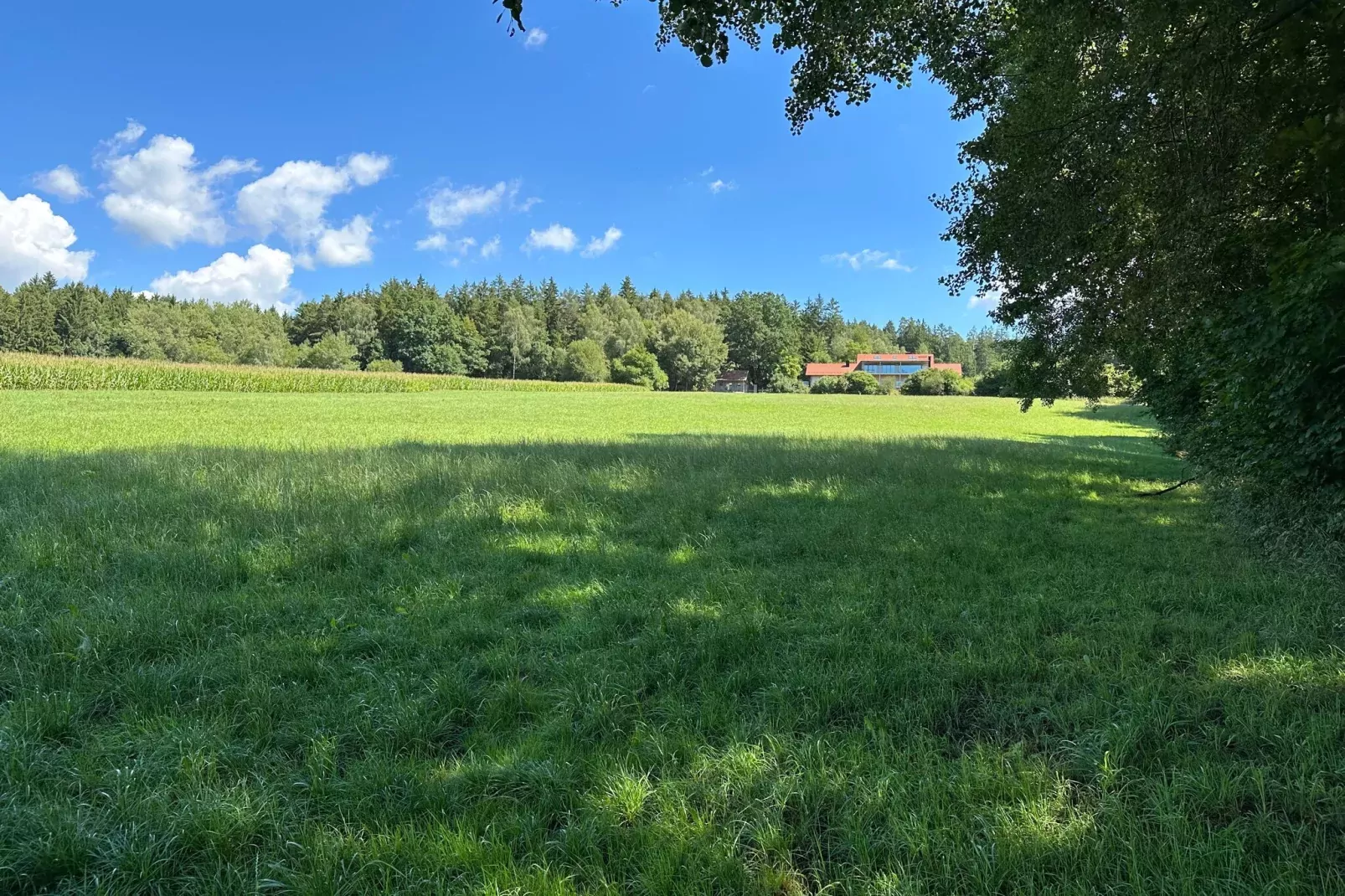Kleinenzenried-Areas summer 1km