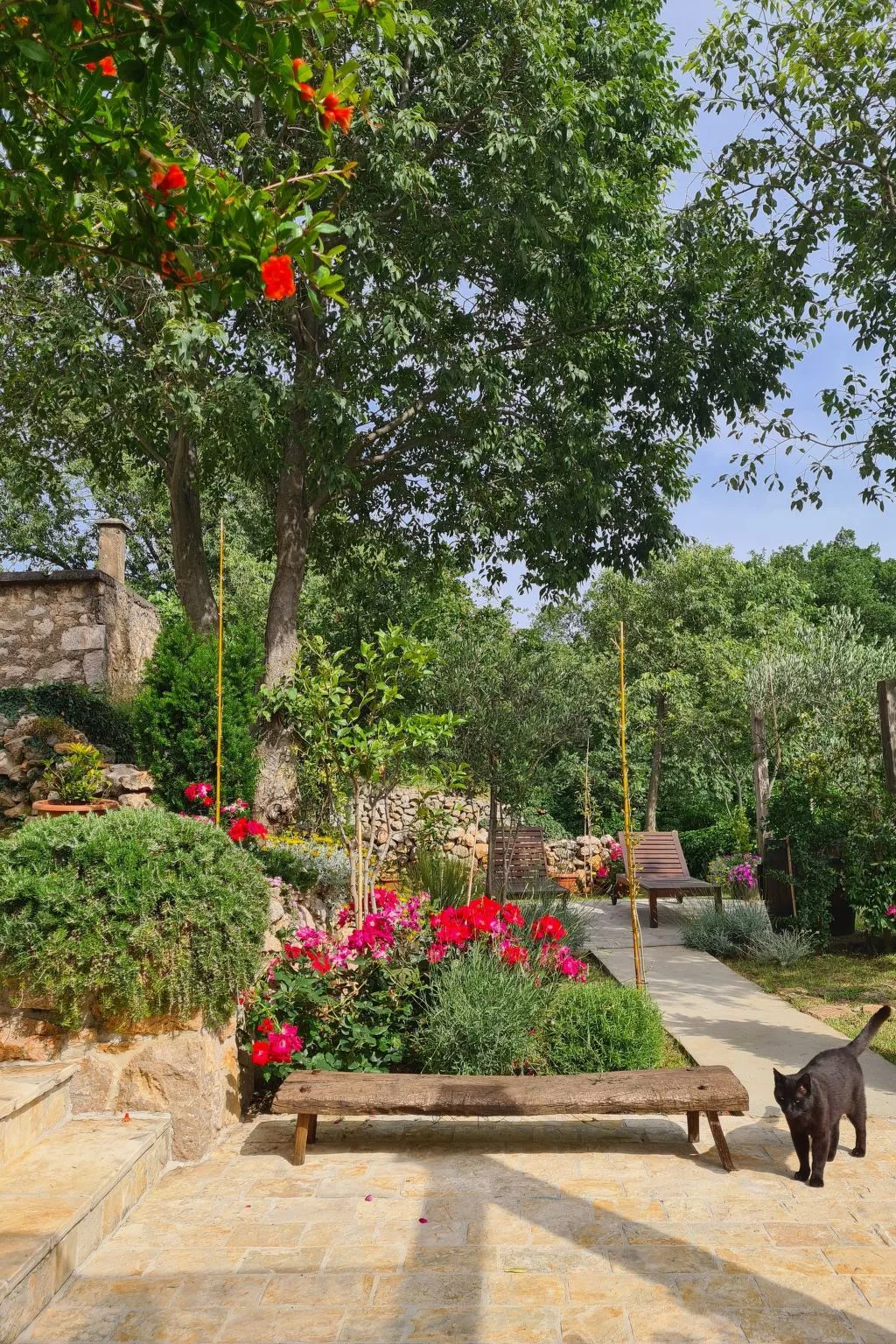 Altes Steinhaus Goranova Kuca-Dehors