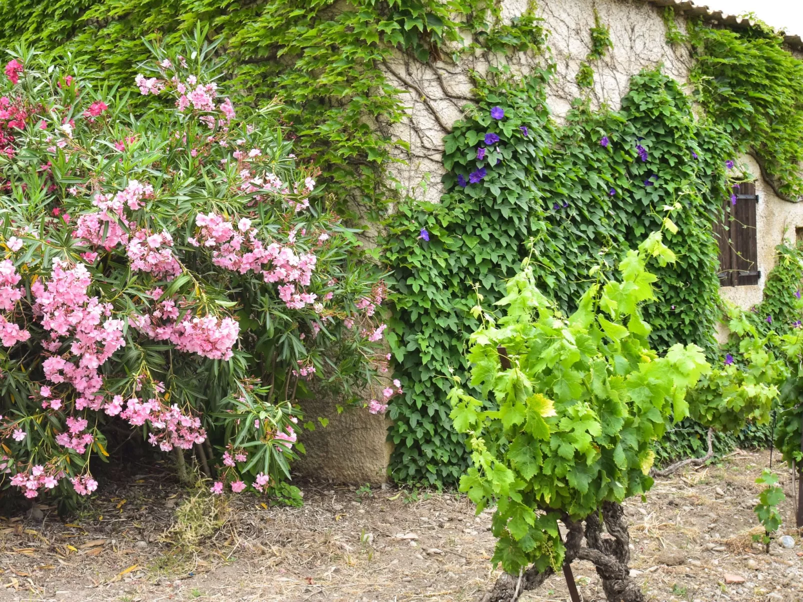 Für 2 Personen und 2 Kinder-Outside