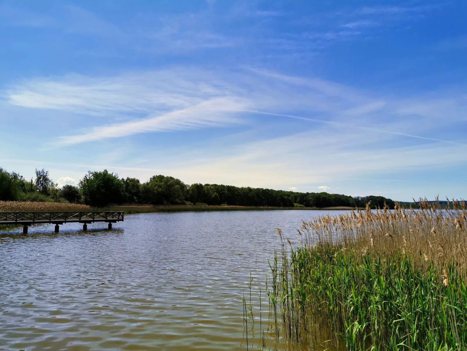 App. Seeblick-Outside