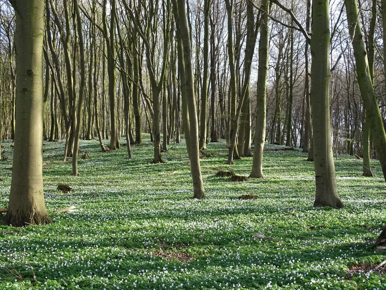 Ferienwohnung-Outside