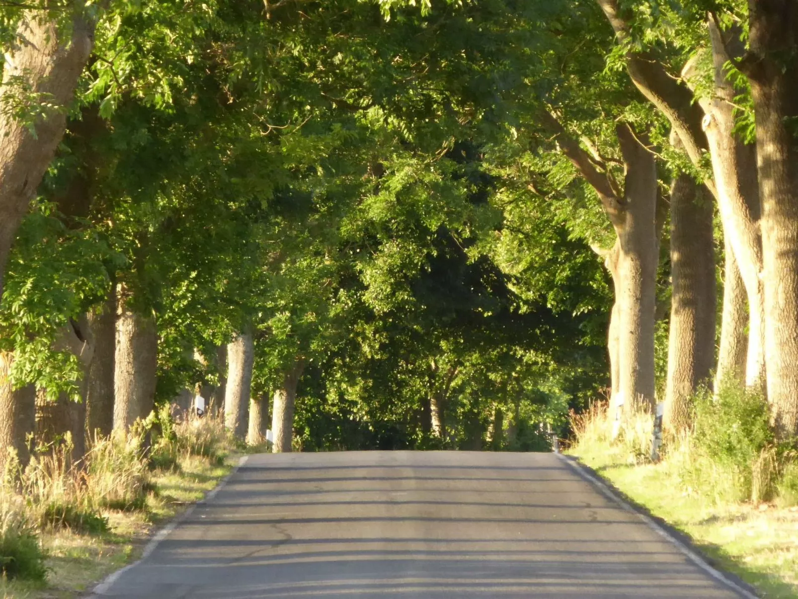 Galerie West-Draußen