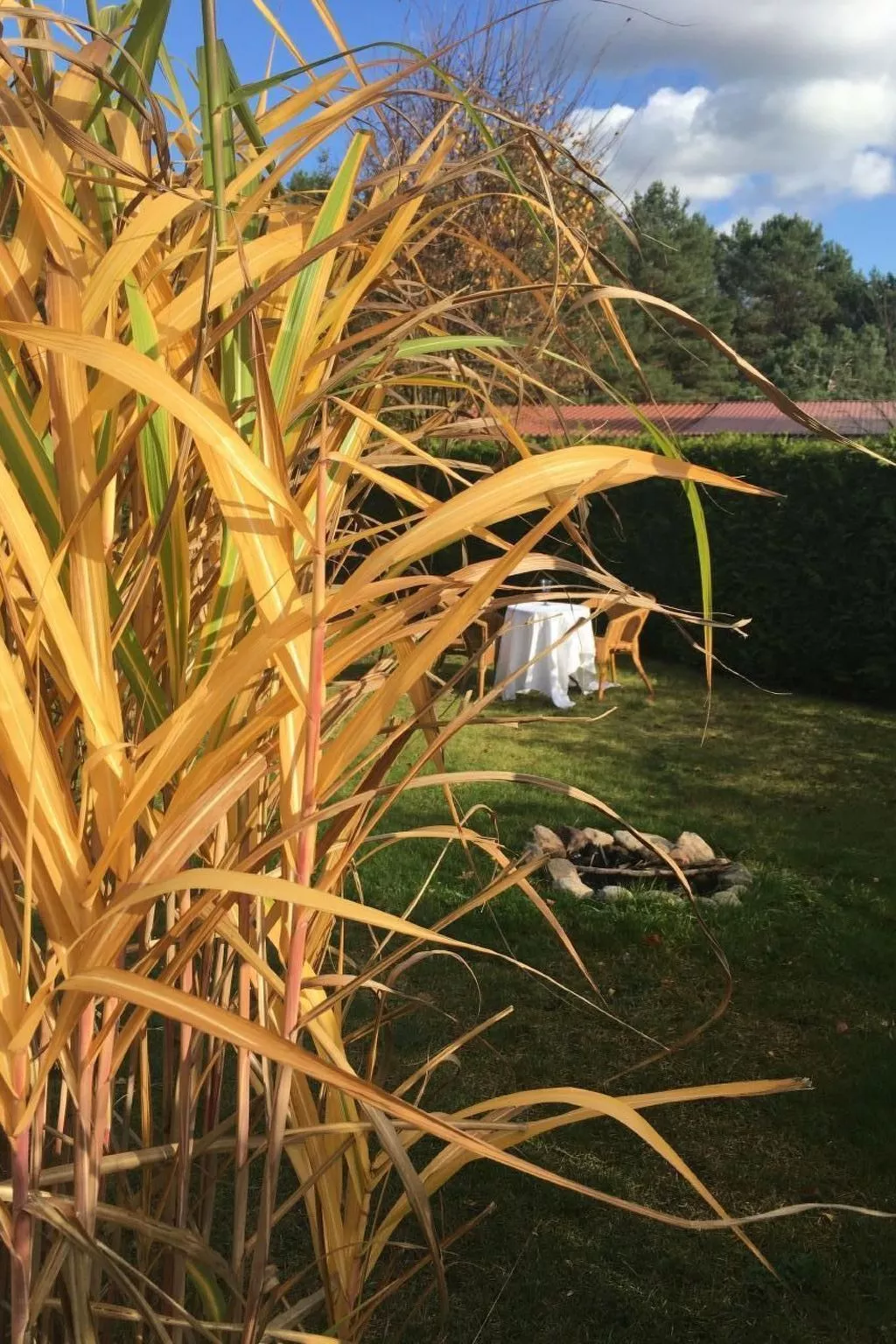 Bungalow Mecklenburgische Seenplatte-Dehors