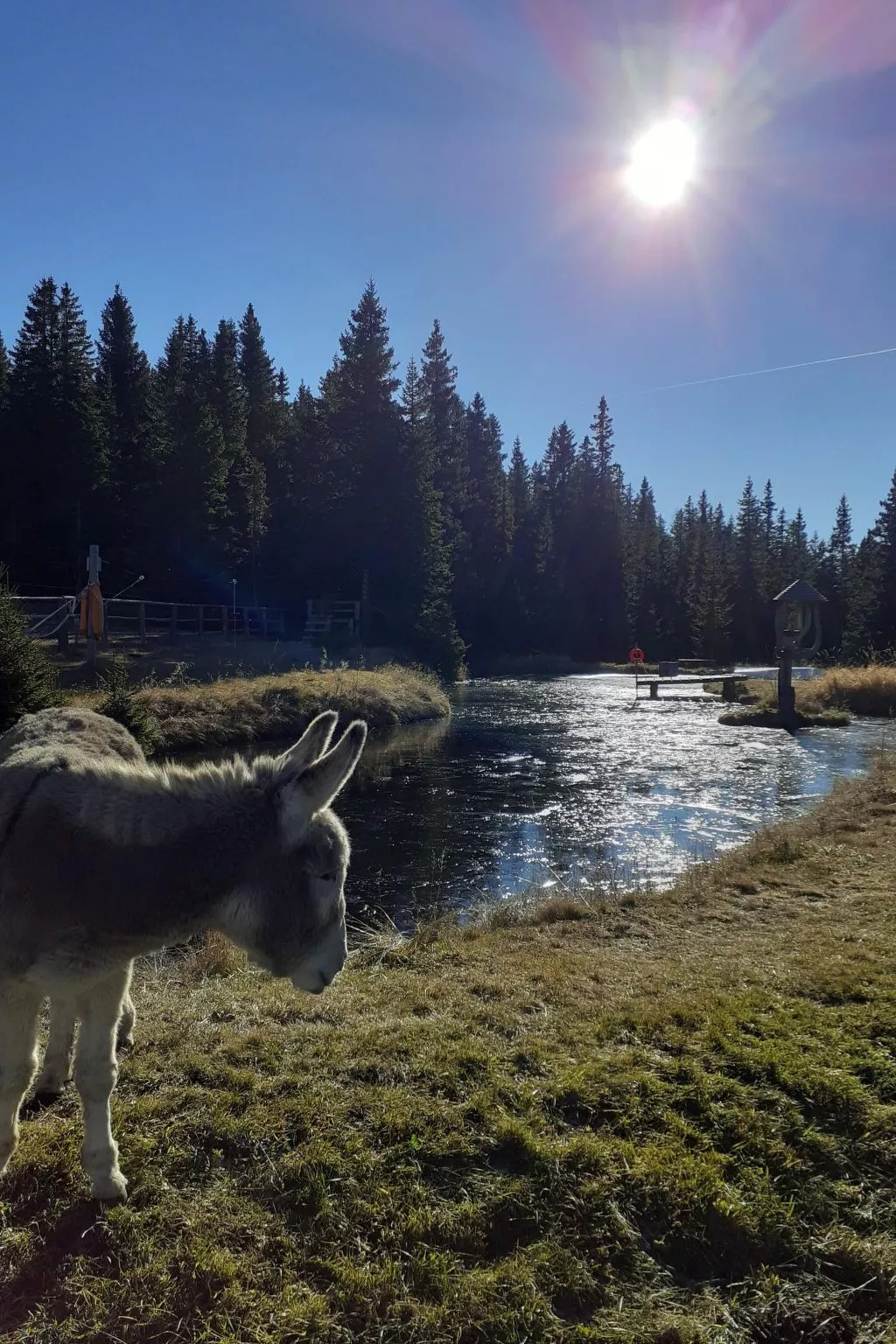 Lachtalhütte-Dehors