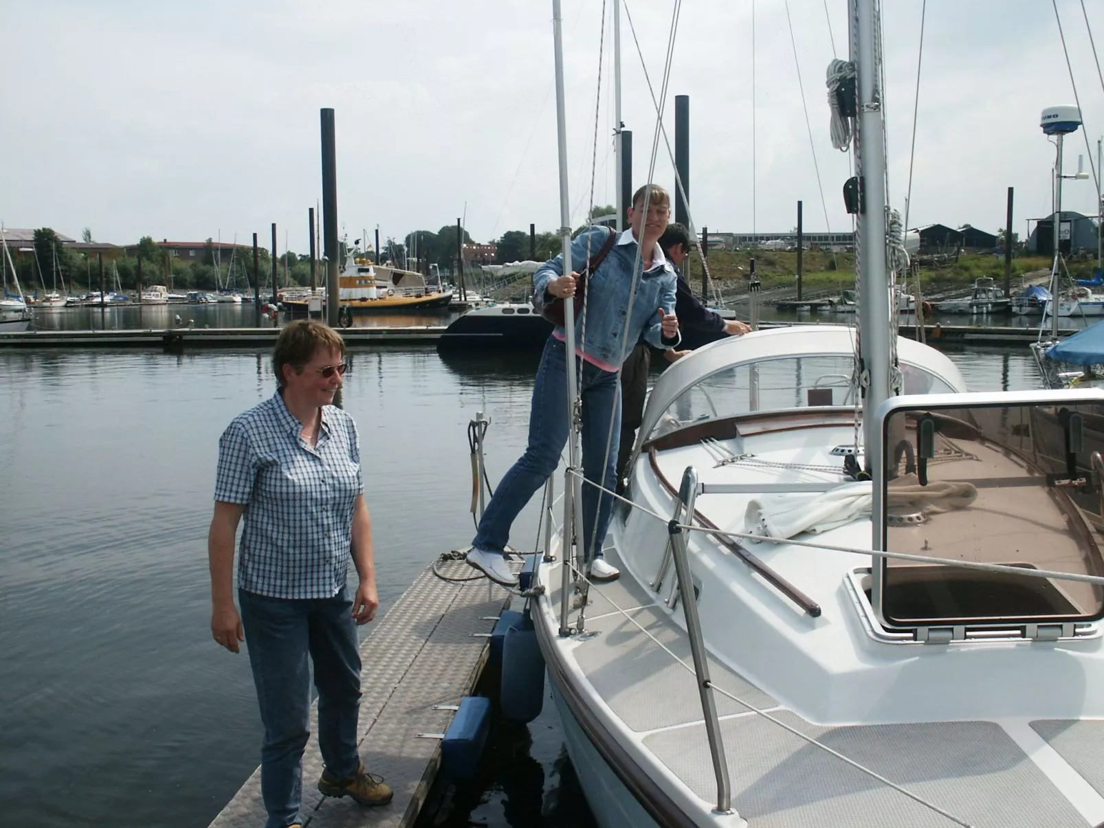 Zwergmöwe in Neue Tiefe-Image-tags.info