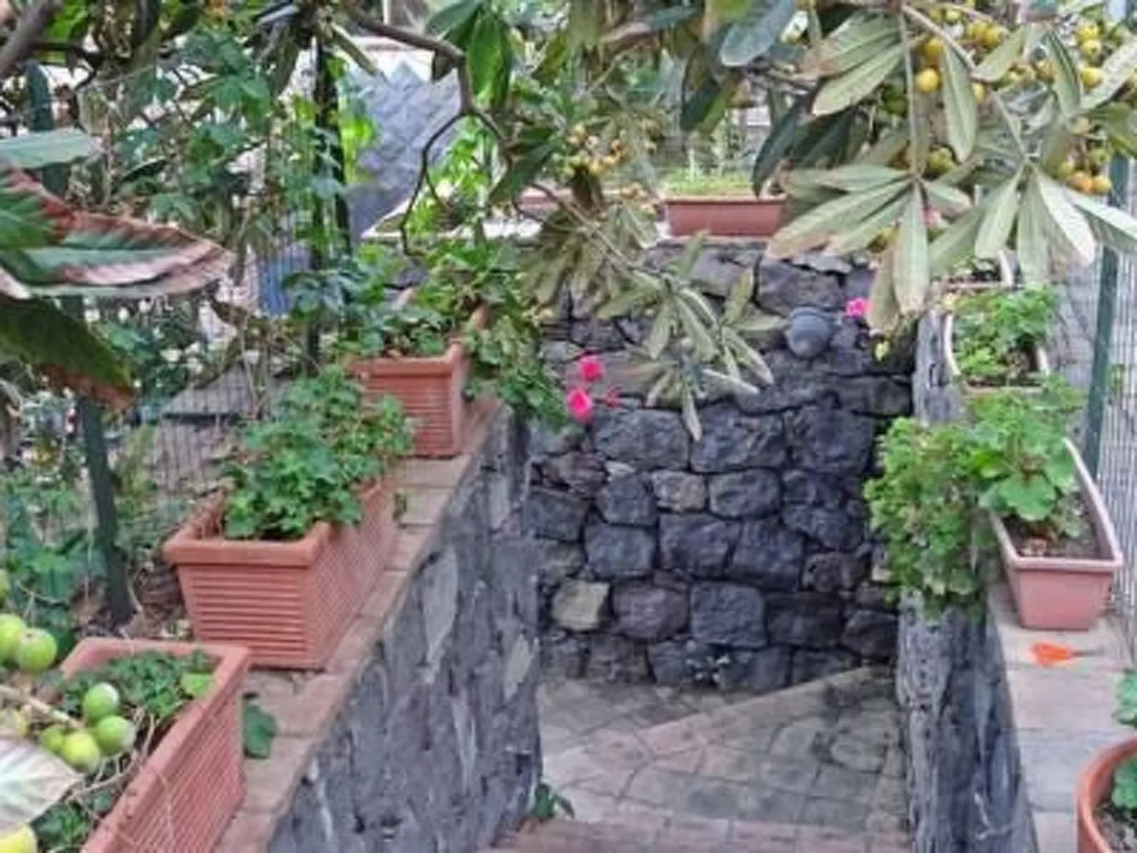 Villa mit Wasserblick-Image-tags.info