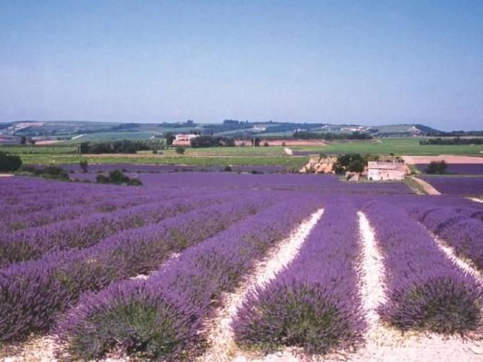Provençal Privates Schwimmbad, Haustiere willkommen-Dehors