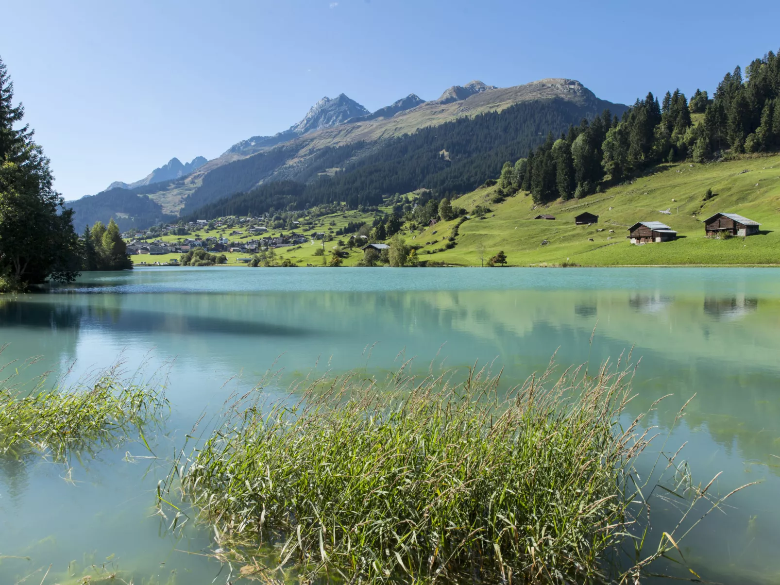 Gemütlichkeit-Environnement