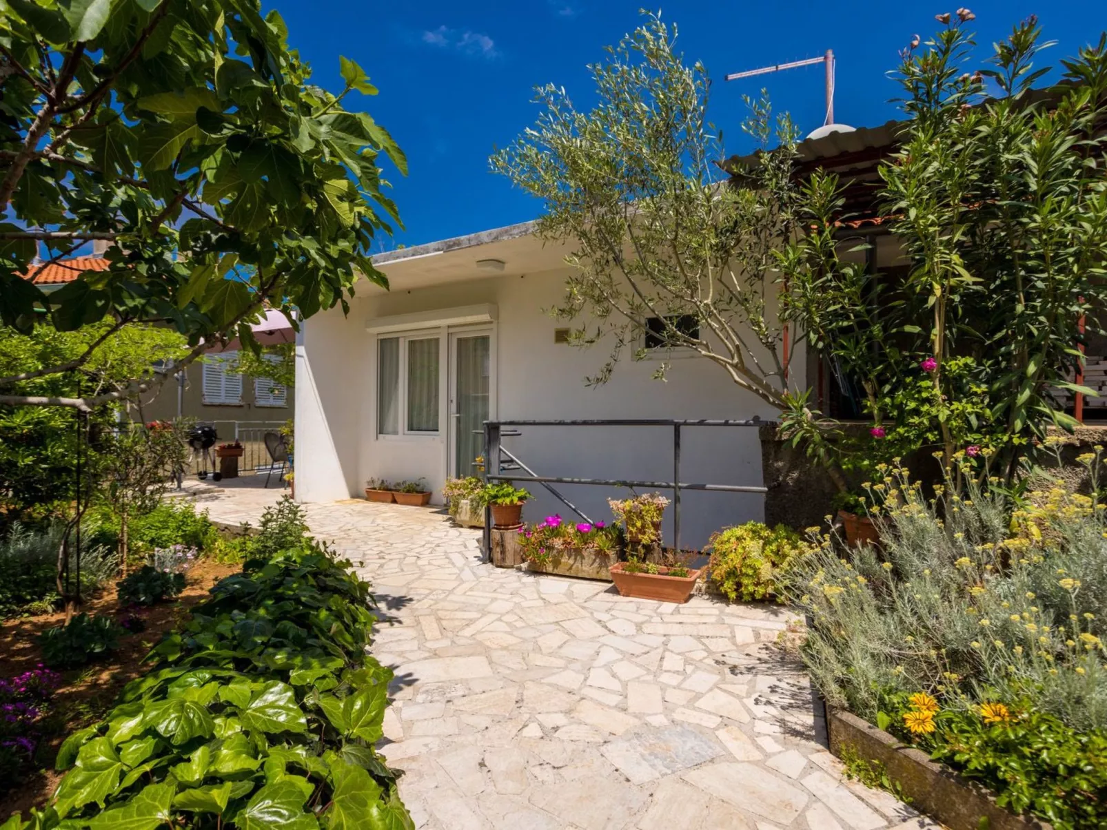 Apartment Andjelko-Outside