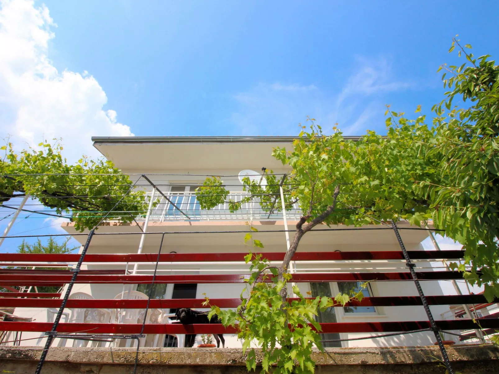 "Mihaljevic Tatjana"-Dehors