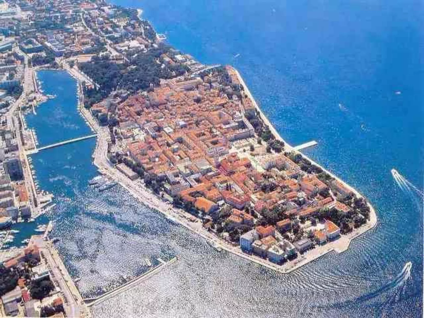 "Frane"-Image-tags.info