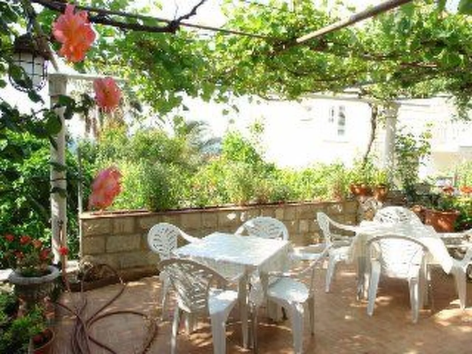 Für 3 Personen ca. 30 m&sup2; in Dubrovnik, Dalmatien (Dubrovnik-Neretva)-Draußen