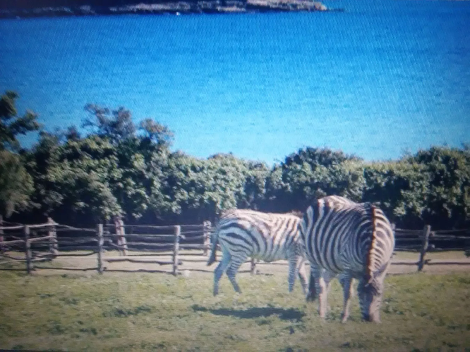 Wohnung "MaVeRo" direkt am Strand-Draußen